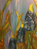 /album/fotogalerij/a20151004-135734-resized-2-jpg/